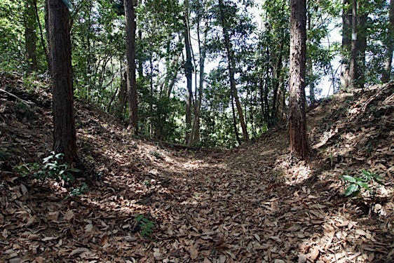 File:Jofukuji19.jpg