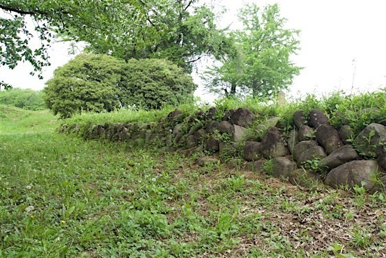 File:Oogo17.jpg