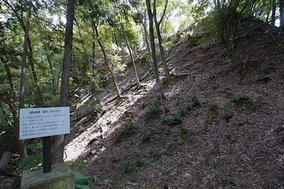 File:Konosumi16.jpg