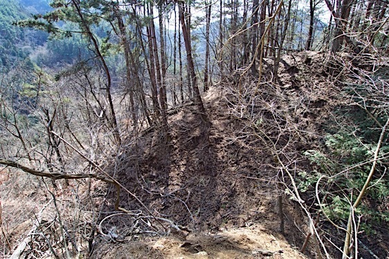 File:Kuma5.jpg
