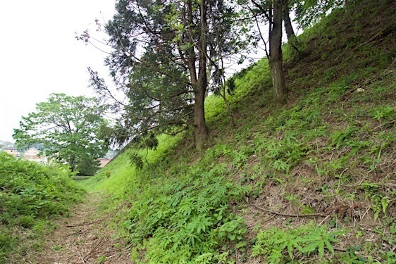 File:Oogo6.jpg