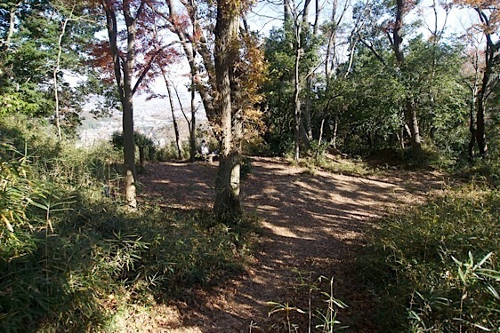 File:Tsukui10.jpg