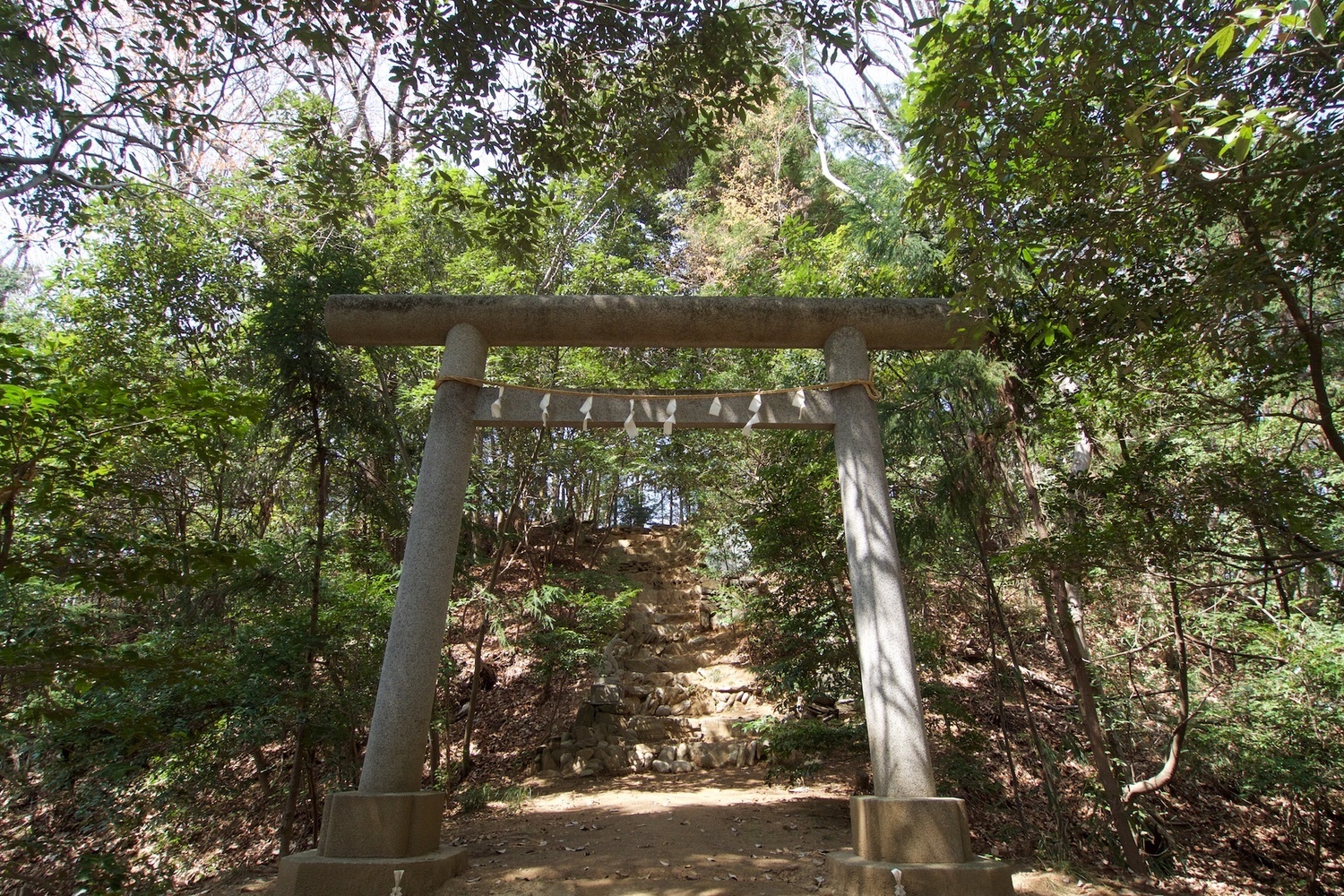 Hanazonomitake5.jpg