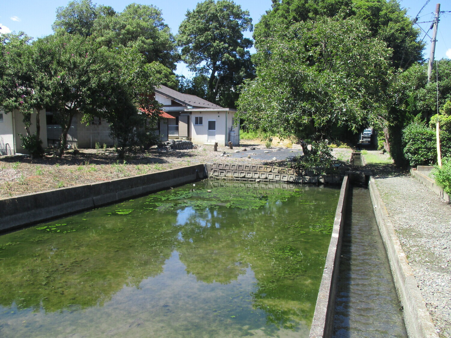 TakenohanaYakata (2).JPG