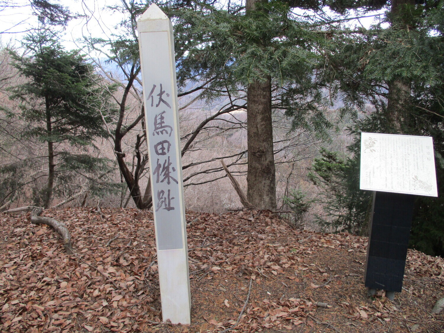 Fusumadajou (1).JPG