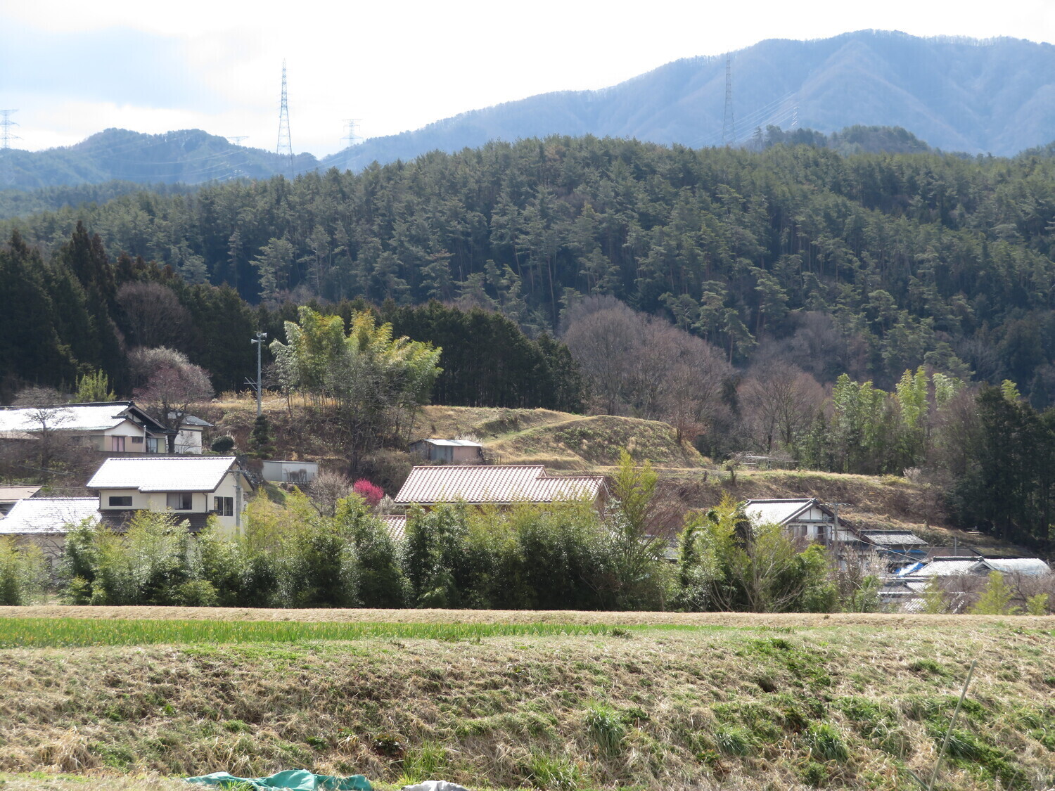 InaSuganumajou (1).JPG