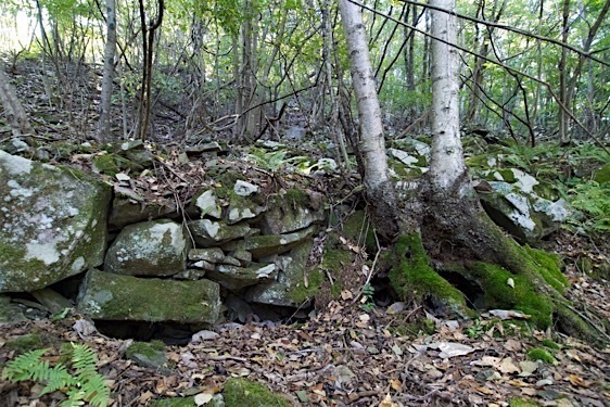 File:Shishiku13.jpg