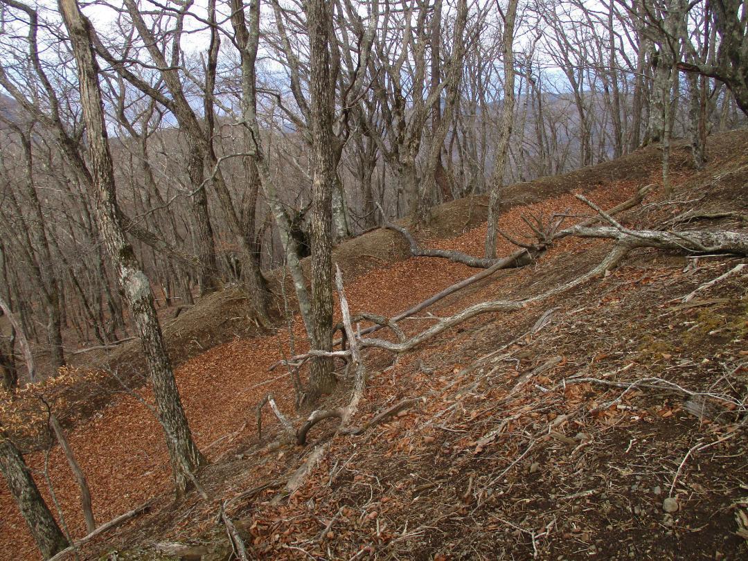 MisakajouA (1).jpg