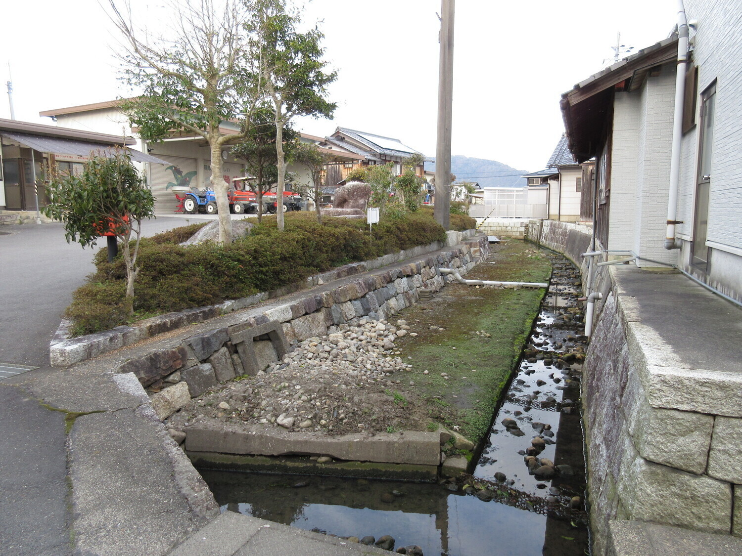 GamouOsadajou (1).JPG