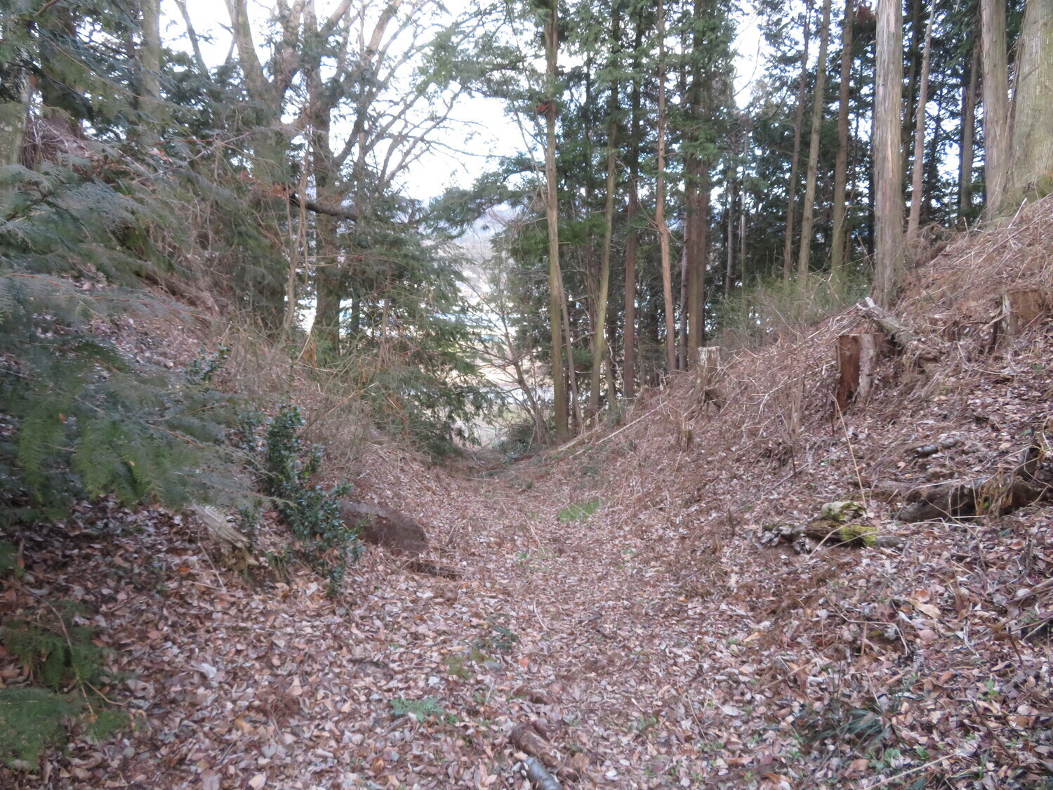 InaKuratajou (1).JPG