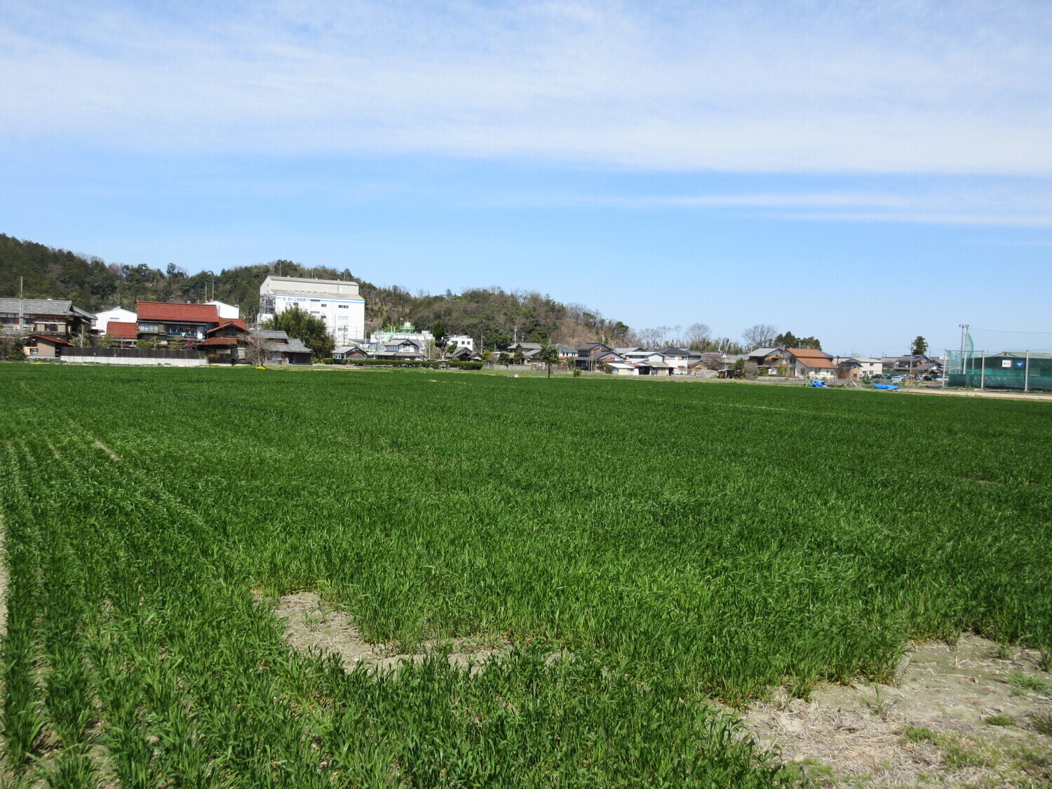KanzakiShimohiyoshijou (3).JPG