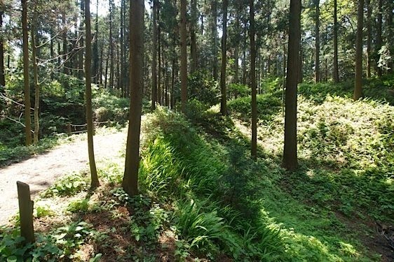 File:Sakata7.jpg