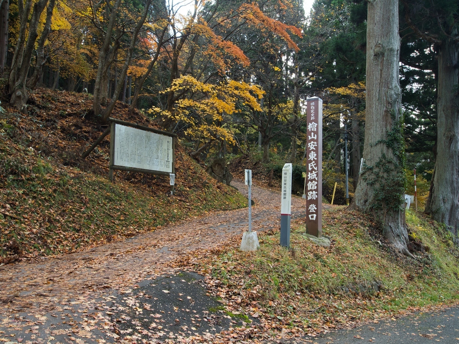 Hiyama1.jpg