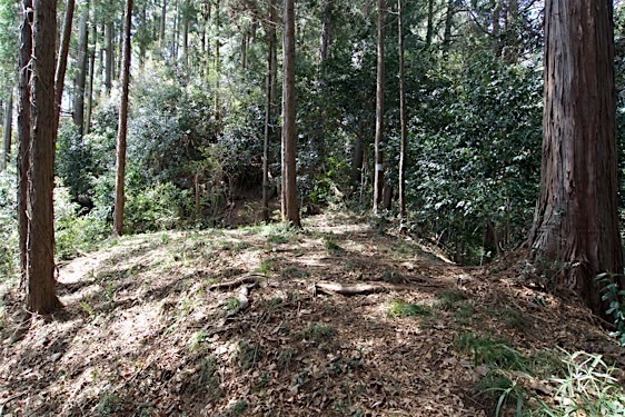 File:Jofukuji17.jpg