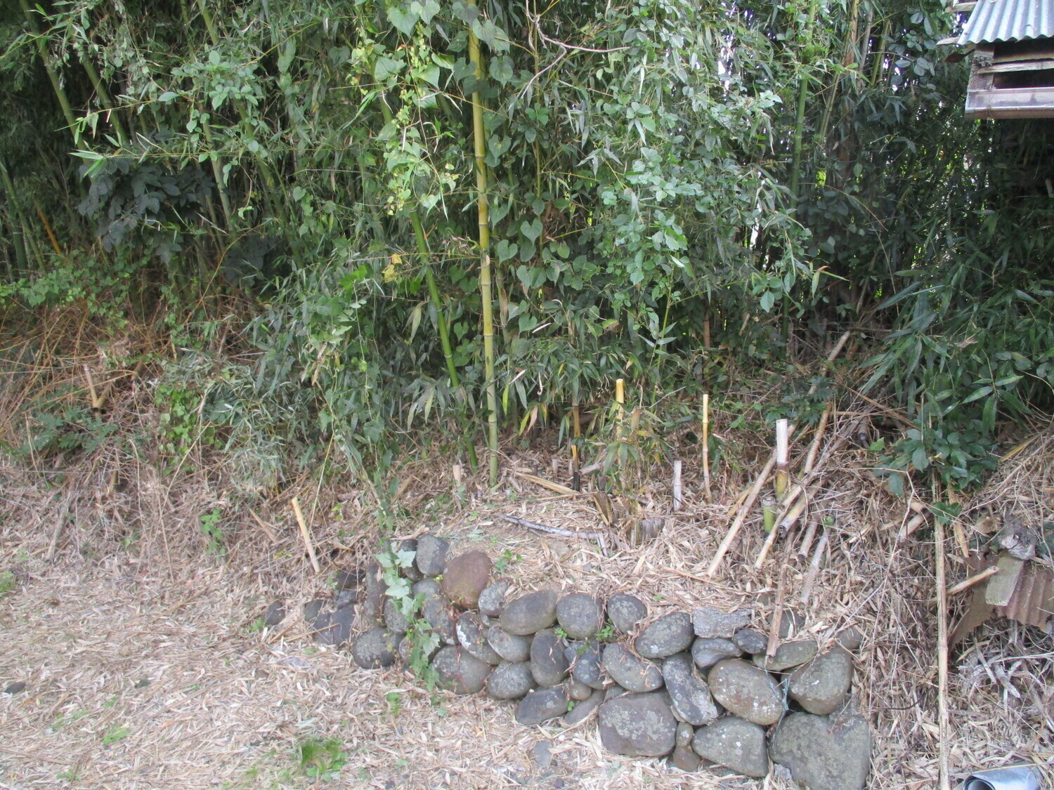 KomaiYashiki (1).JPG