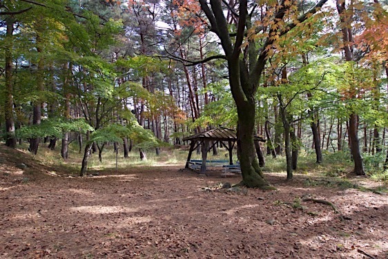 File:Hayashioh21.jpg