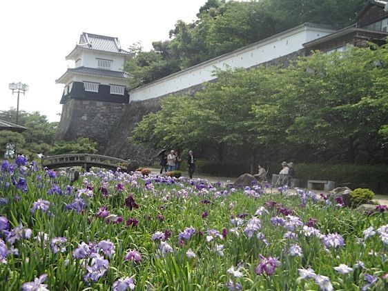 Kushima1.jpg