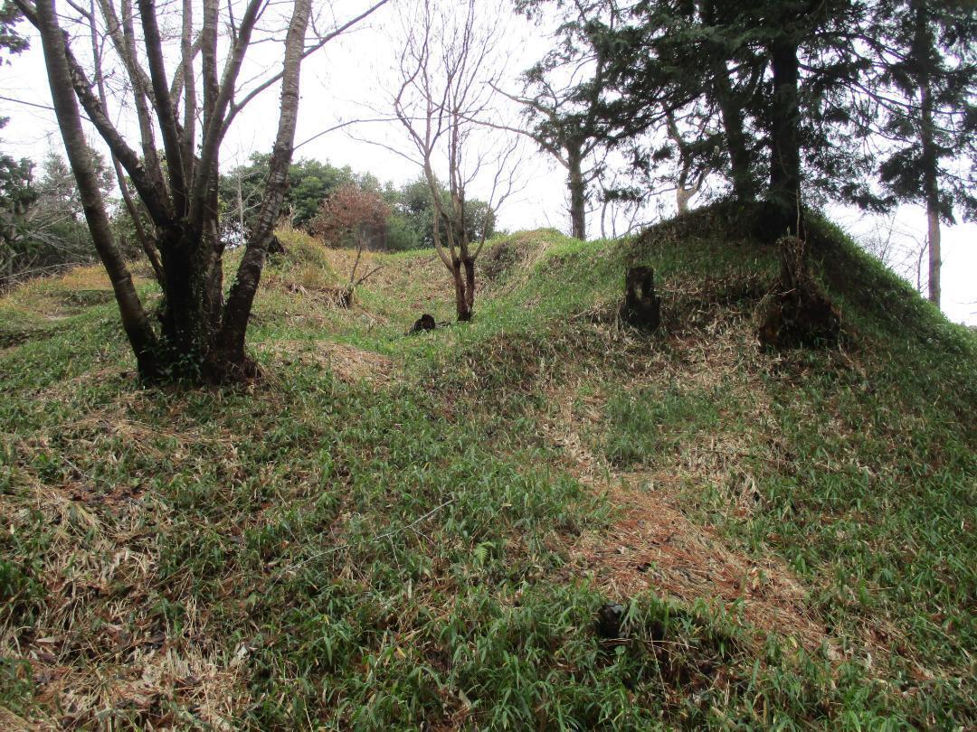 TohtoumiYokochijouA (3).jpg