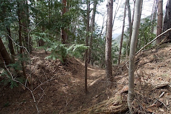 File:Kuma25.jpg