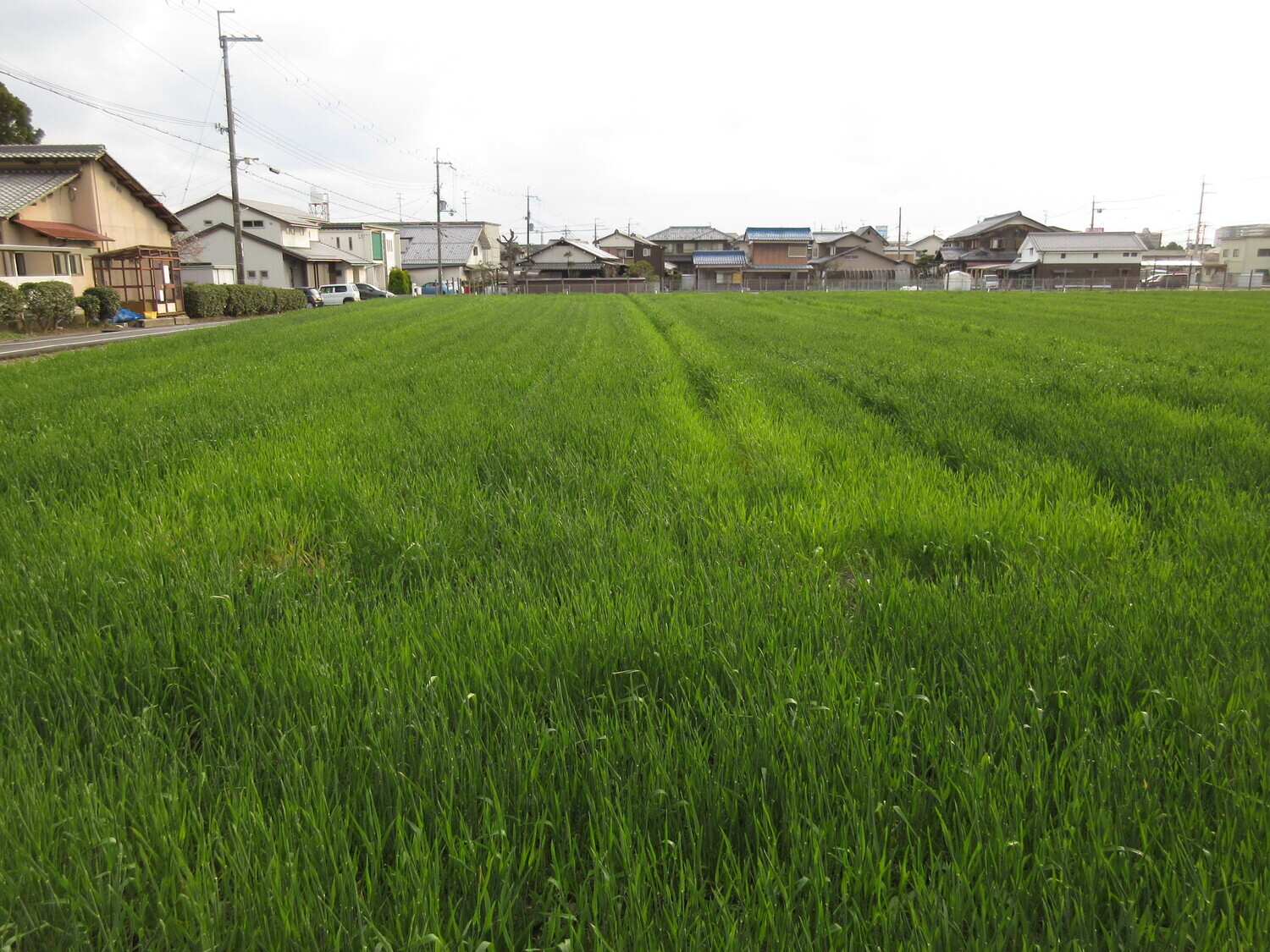 GamouKuriYakata (2).JPG