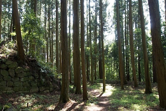 File:Karasuyama24.jpg