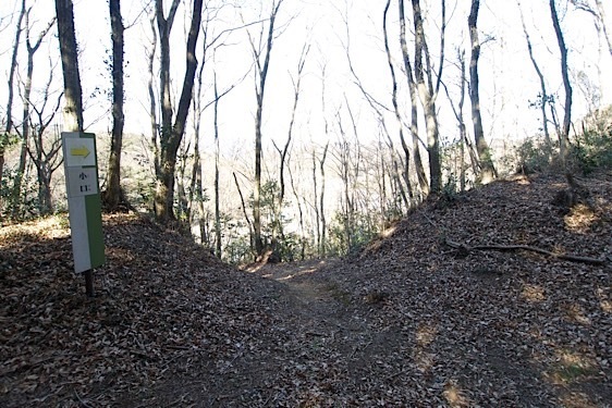 File:Koshigoe19.jpg
