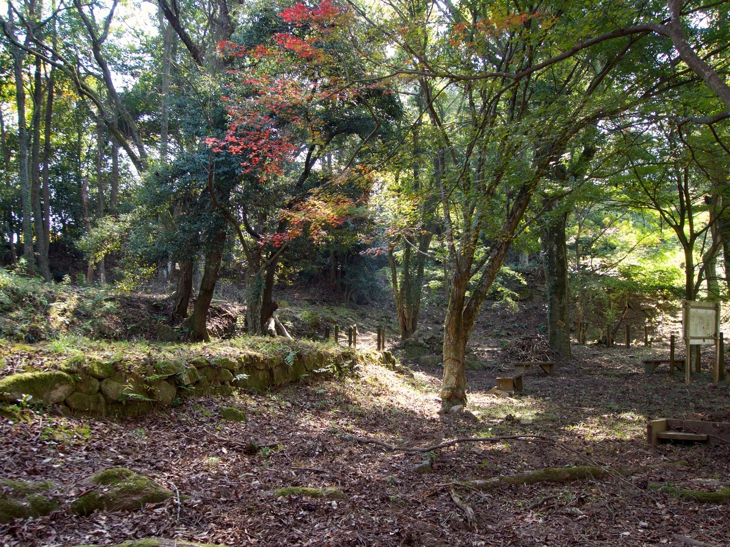 Niitakayama45.jpg