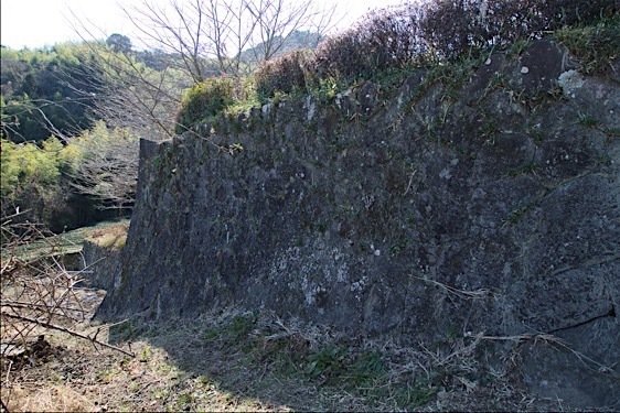 File:Ojima6.jpg