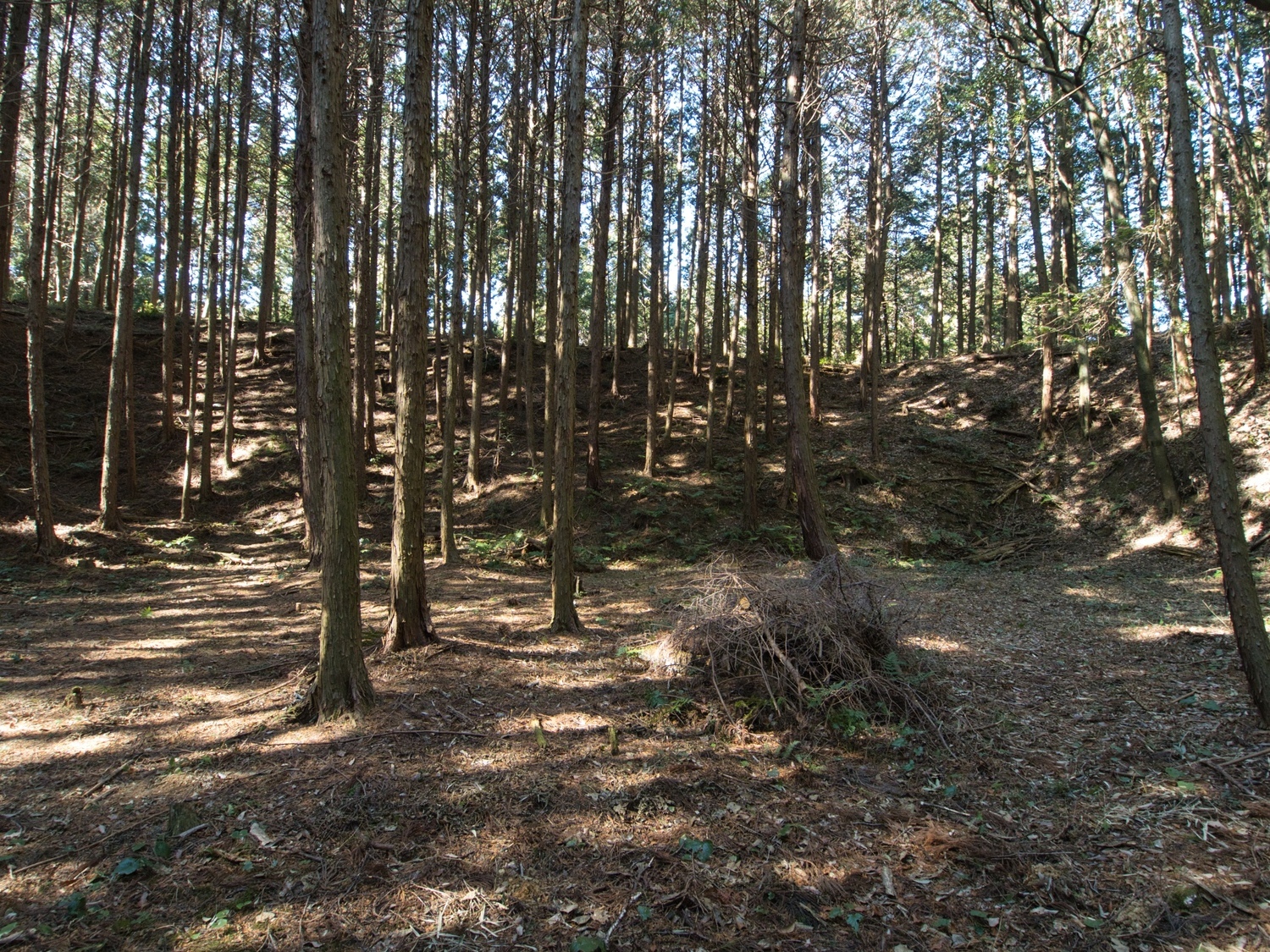 Kokashingushi27.jpg