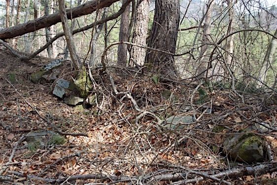 File:Kuma10.jpg