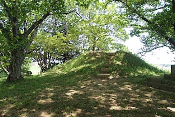 File:Oda16.jpg