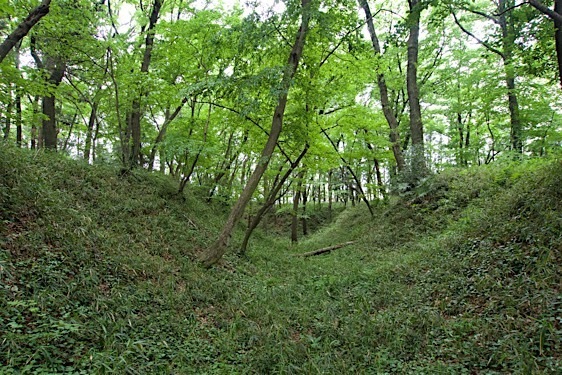 File:Zen12.jpg