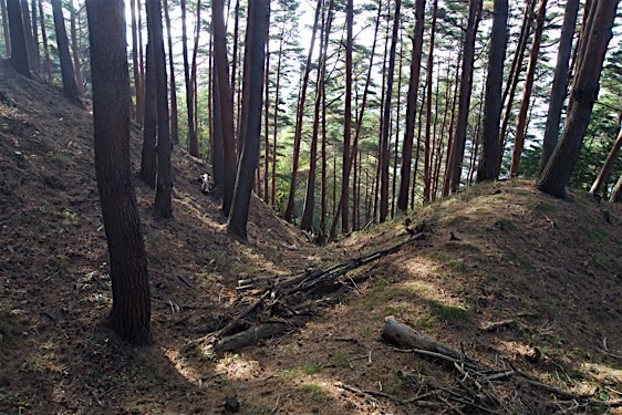 File:Haibara24.jpg