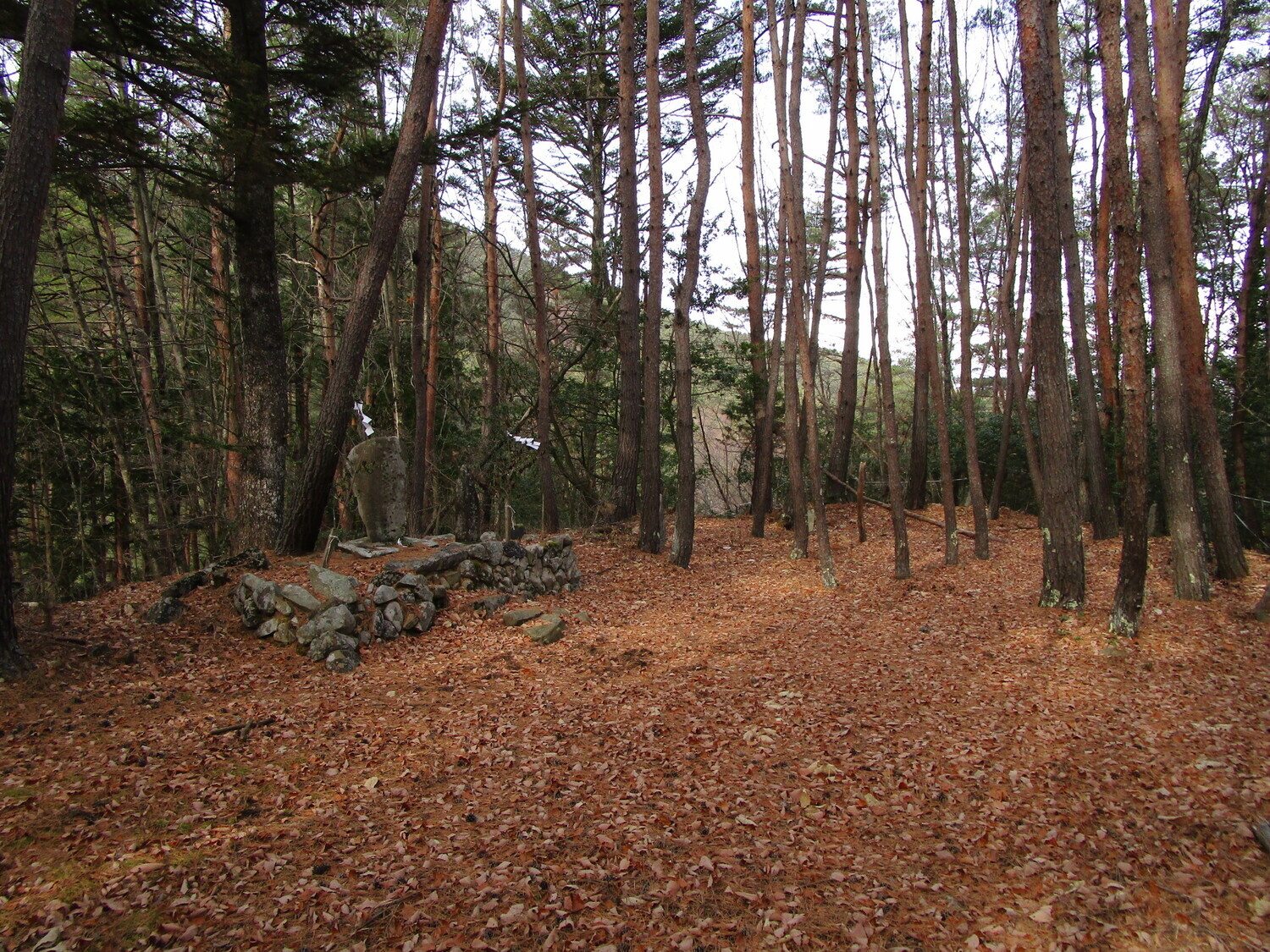 Ina-Konishijō (6).JPG