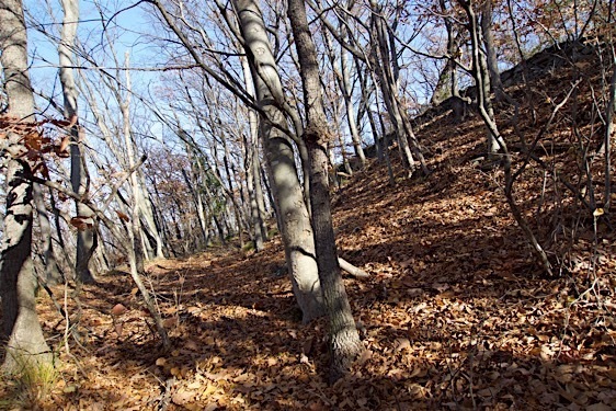 File:Kasumi12.jpg