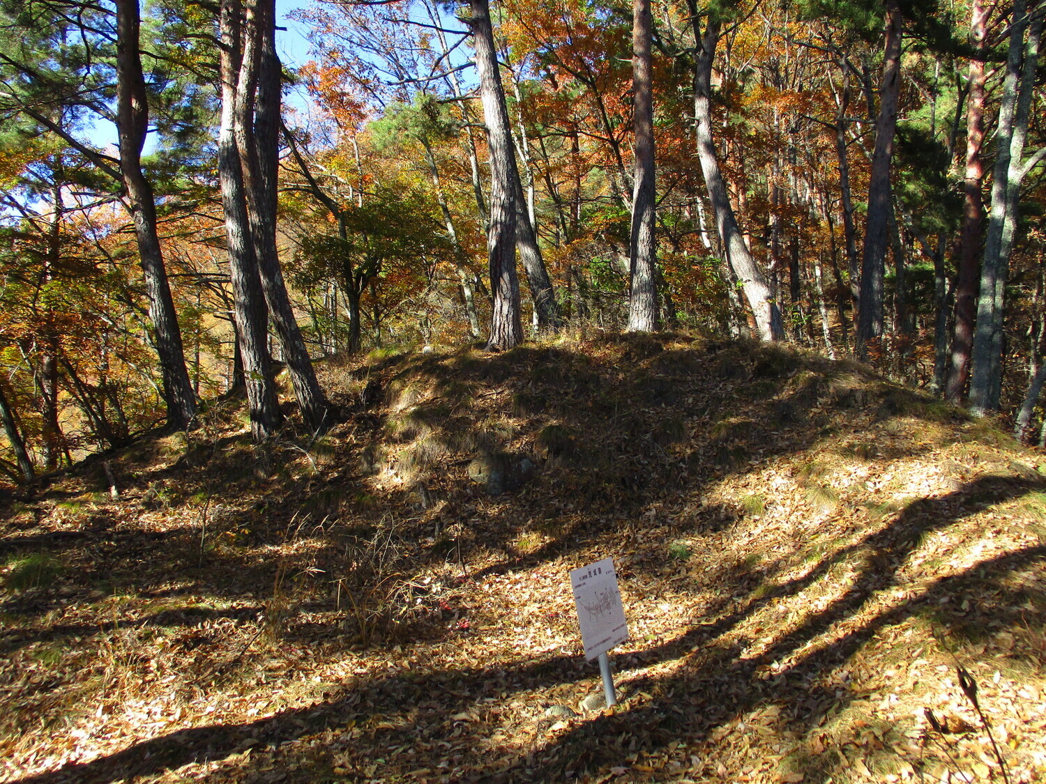 MurakamiArajou (1).JPG