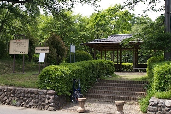 Fujihashi1.jpg