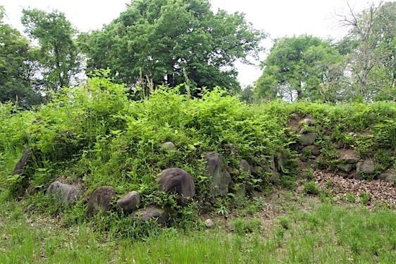 File:Oogo22.jpg