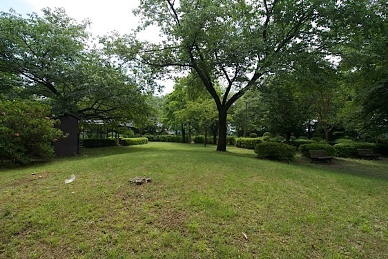 File:Fujihashi3.jpg