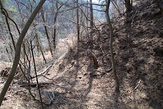 File:Kuma3.jpg