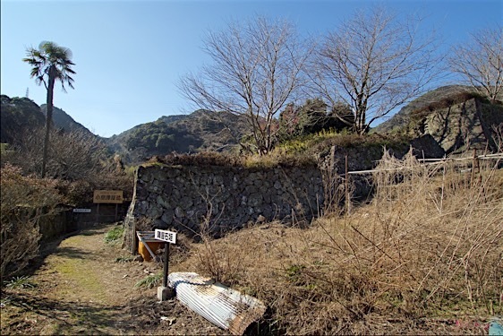 Ojima28.jpg