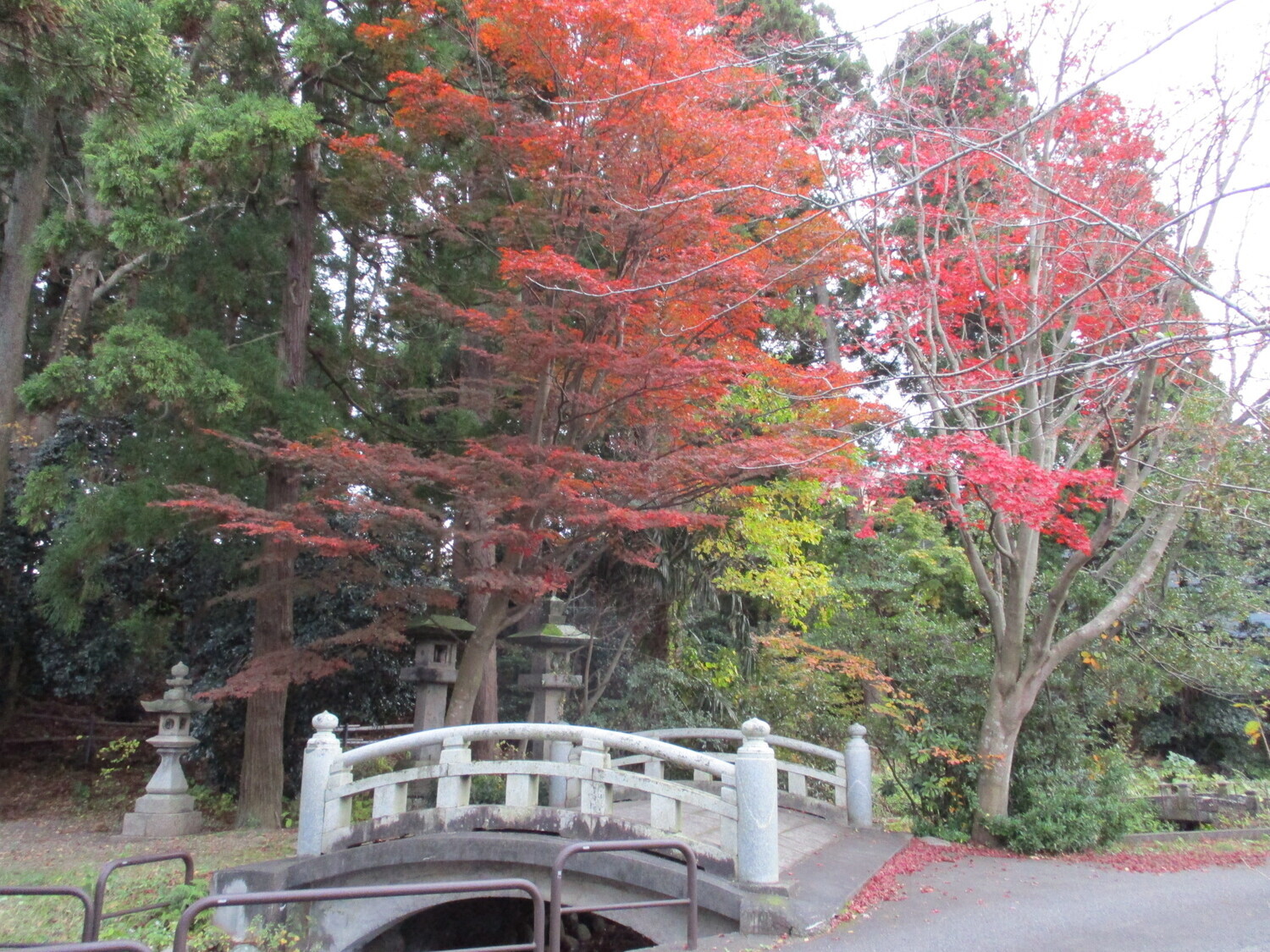 EchigoKiyosakijou (1).JPG