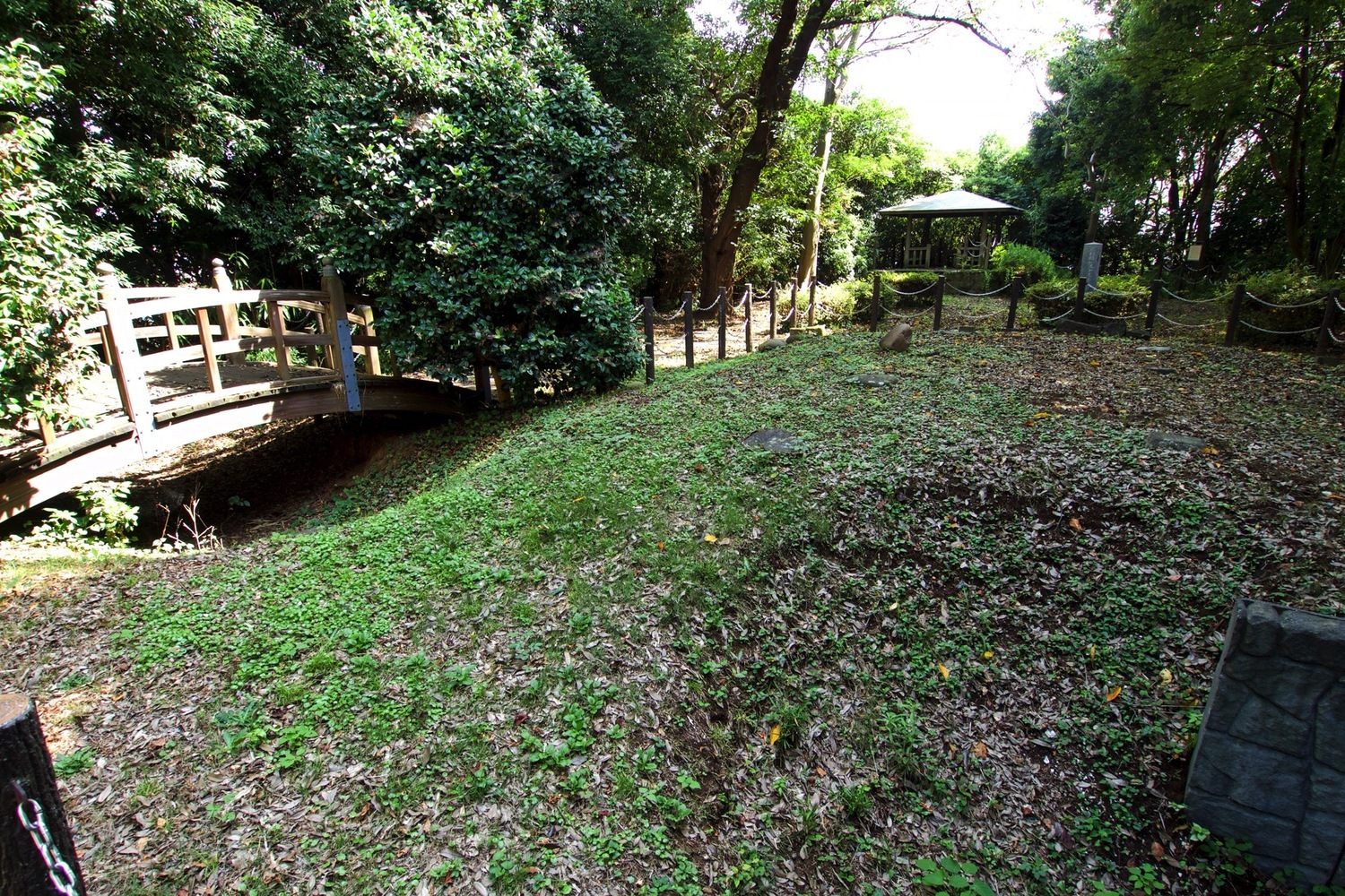 Hanawa6.jpg