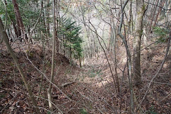 File:Kuma24.jpg