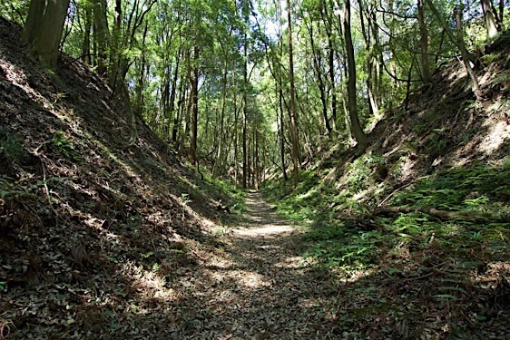 File:Obata35.jpg