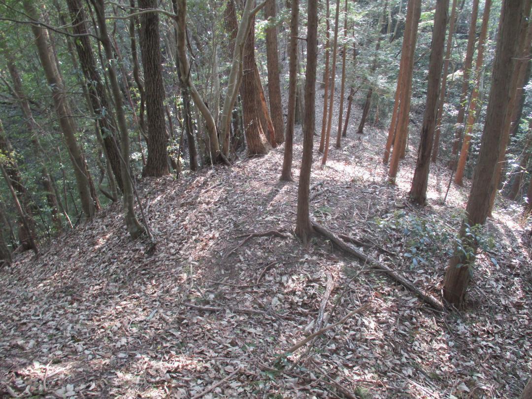 Oiwakehikagejou (3).jpg