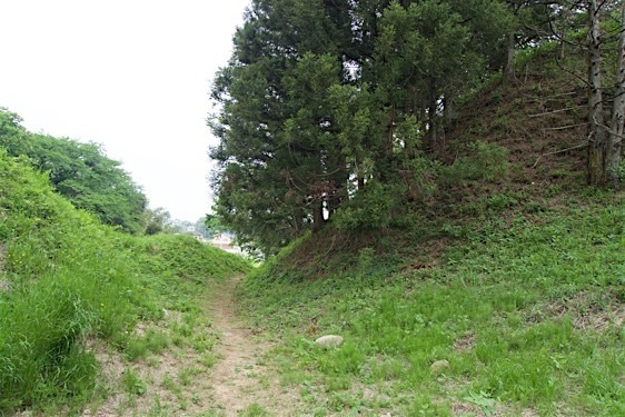 File:Oogo5.jpg
