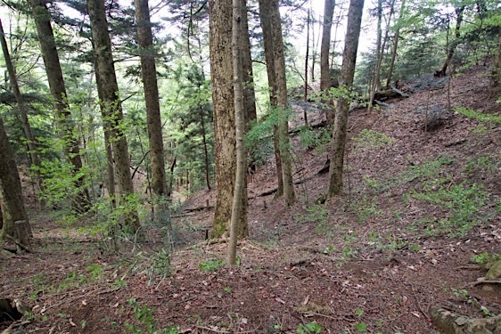 File:Gobara10.jpg
