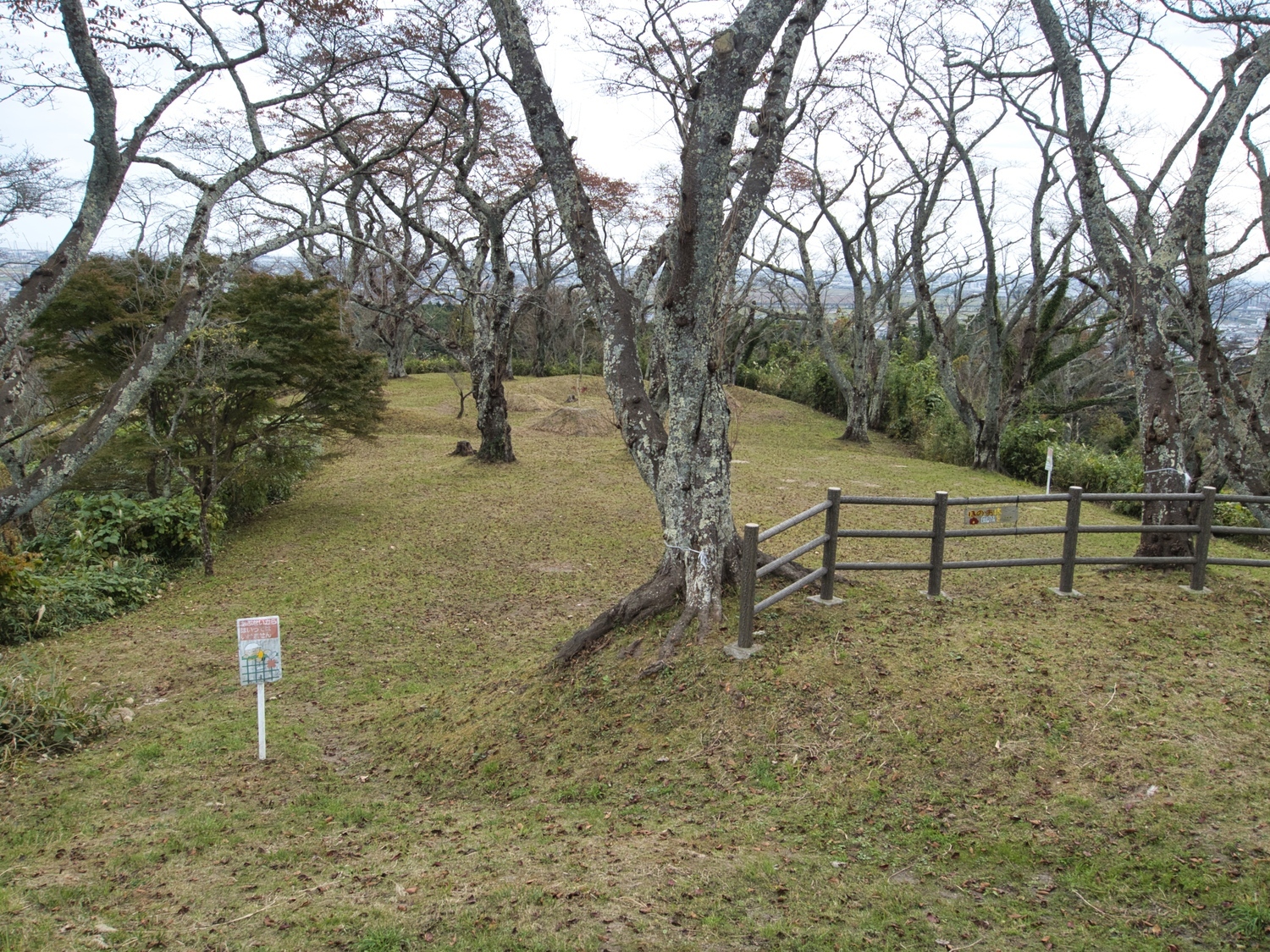 Iwakiri15.jpg