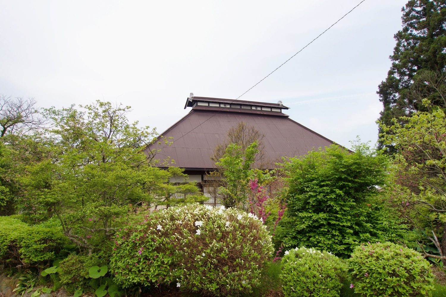 Kanegasaki ohnuma1.jpg